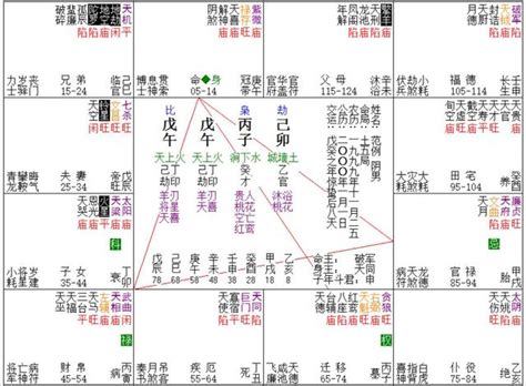 紫微斗數十二宮|十二宮